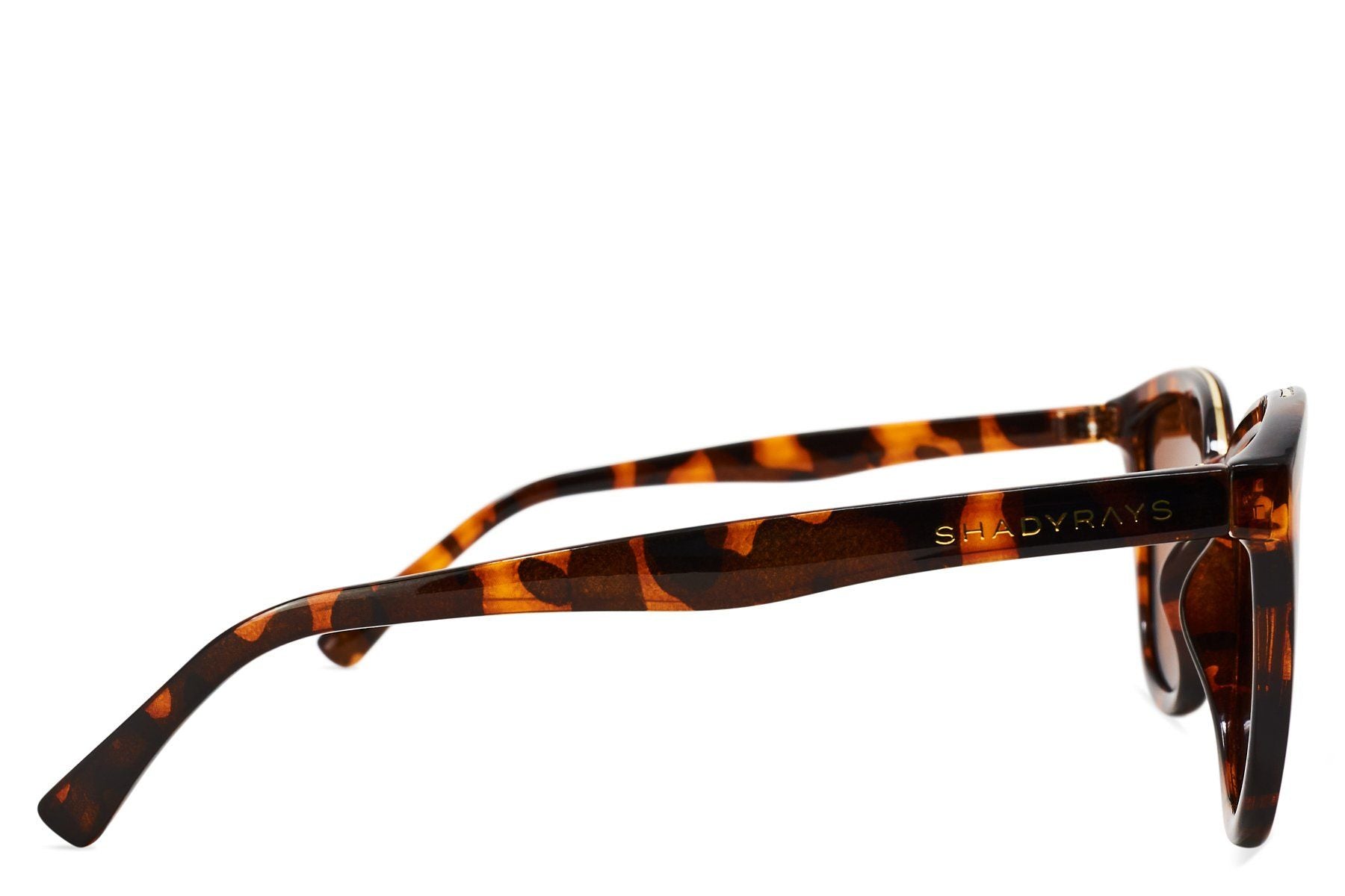 Calico - Amber Tortoise Polarized - Image 4